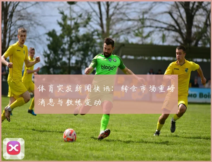 体育突发新闻快讯：转会市场重磅消息与教练变动