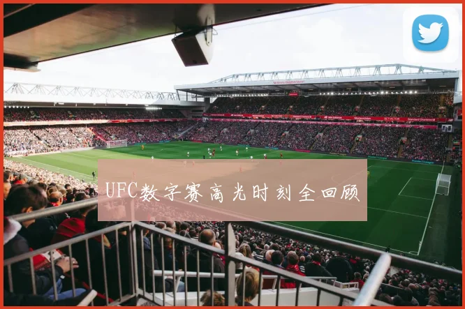UFC数字赛高光时刻全回顾