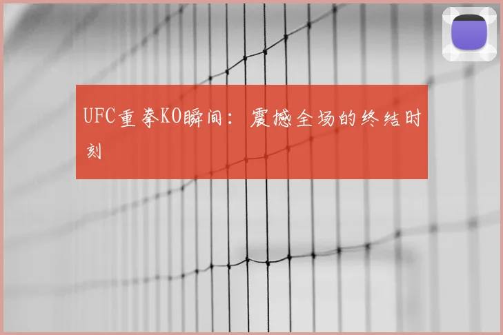 UFC重拳KO瞬间：震撼全场的终结时刻