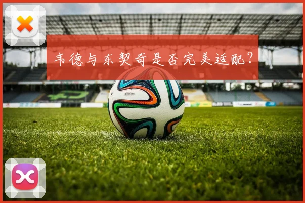韦德与东契奇是否完美适配？