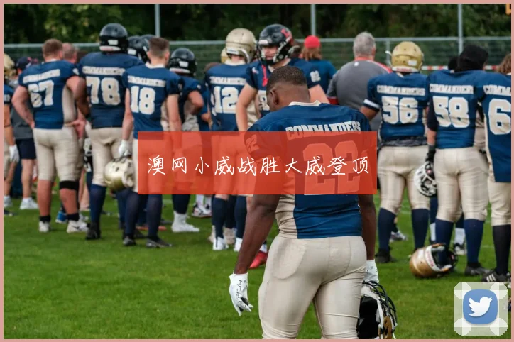 澳网小威战胜大威登顶