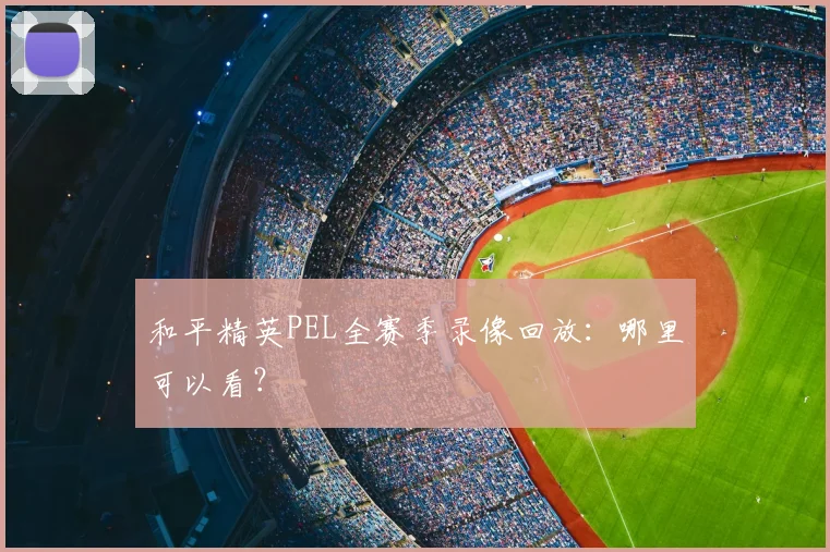 和平精英PEL全赛季录像回放：哪里可以看？