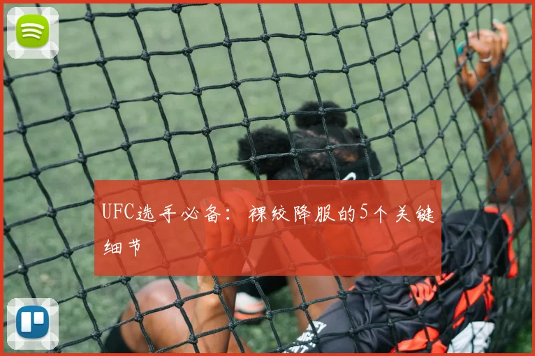 UFC选手必备：裸绞降服的5个关键细节