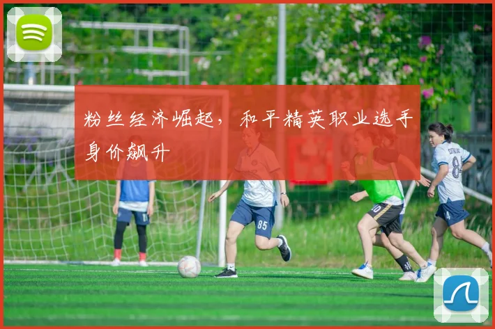 粉丝经济崛起，和平精英职业选手身价飙升
