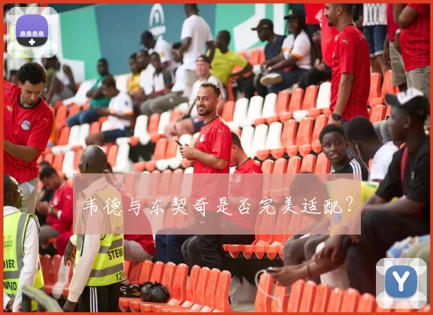 韦德与东契奇是否完美适配？