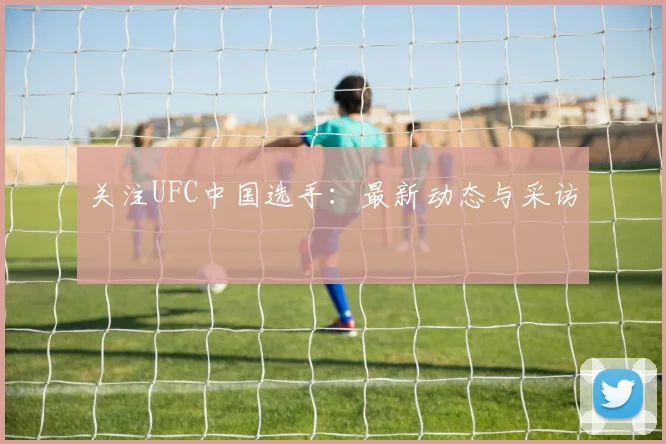 关注UFC中国选手：最新动态与采访