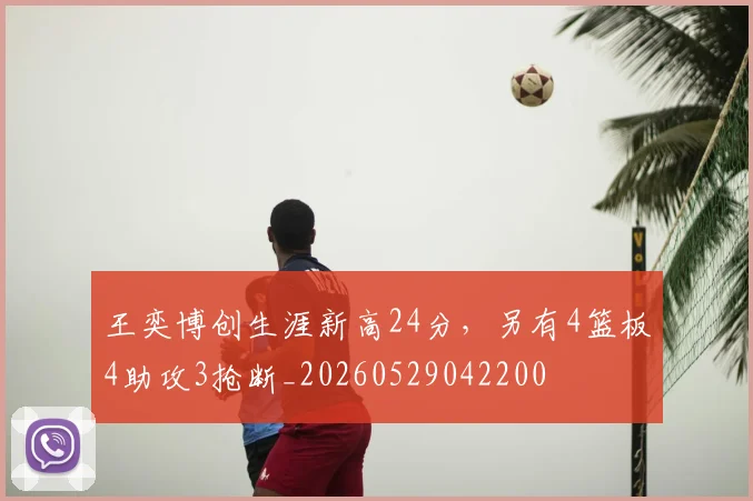 王奕博创生涯新高24分，另有4篮板4助攻3抢断_20260529042200